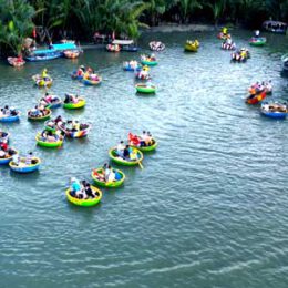 Bay Mau Coconut Forest