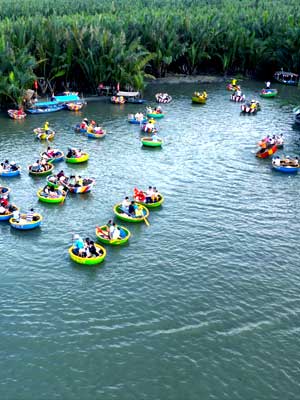 Bay Mau Coconut Forest