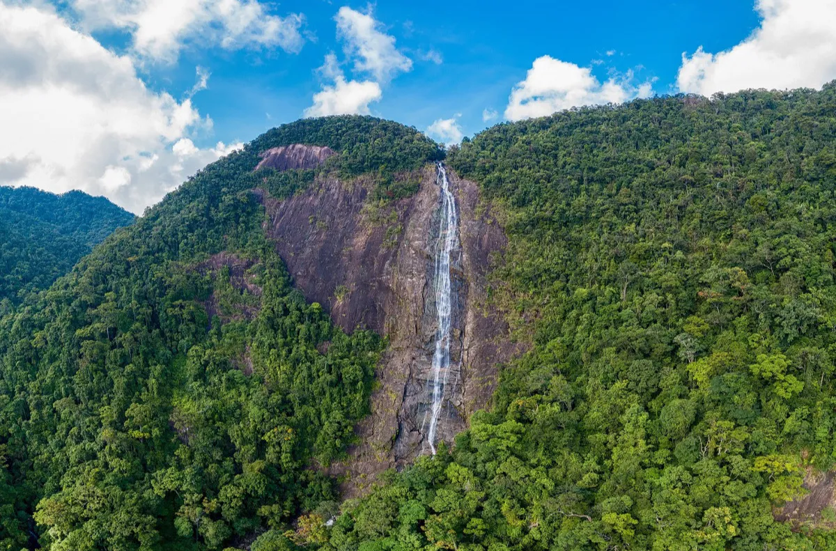 Bach Ma National Park - Attractive ecotourism destination