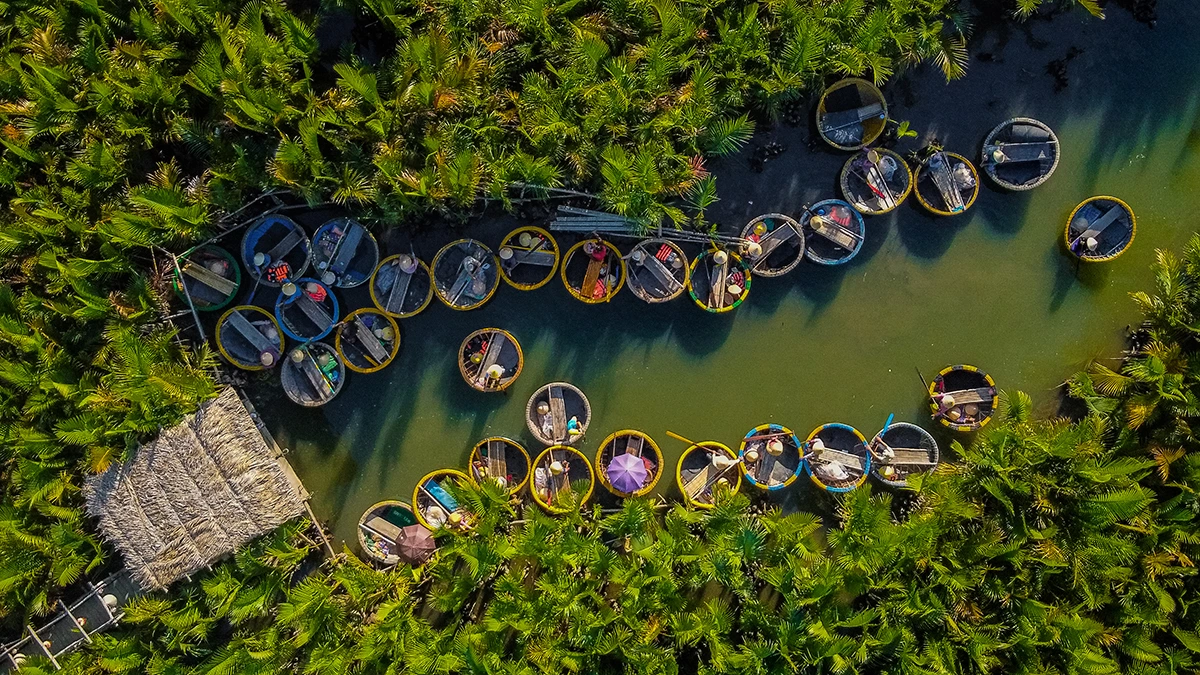 Travel Guide to Bay Mau Coconut Forest in Hoi An