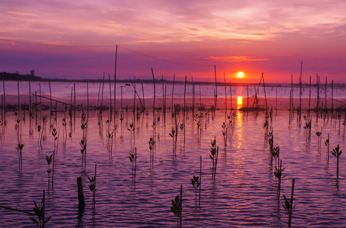 Finding peace at Tam Giang Lagoon sunset