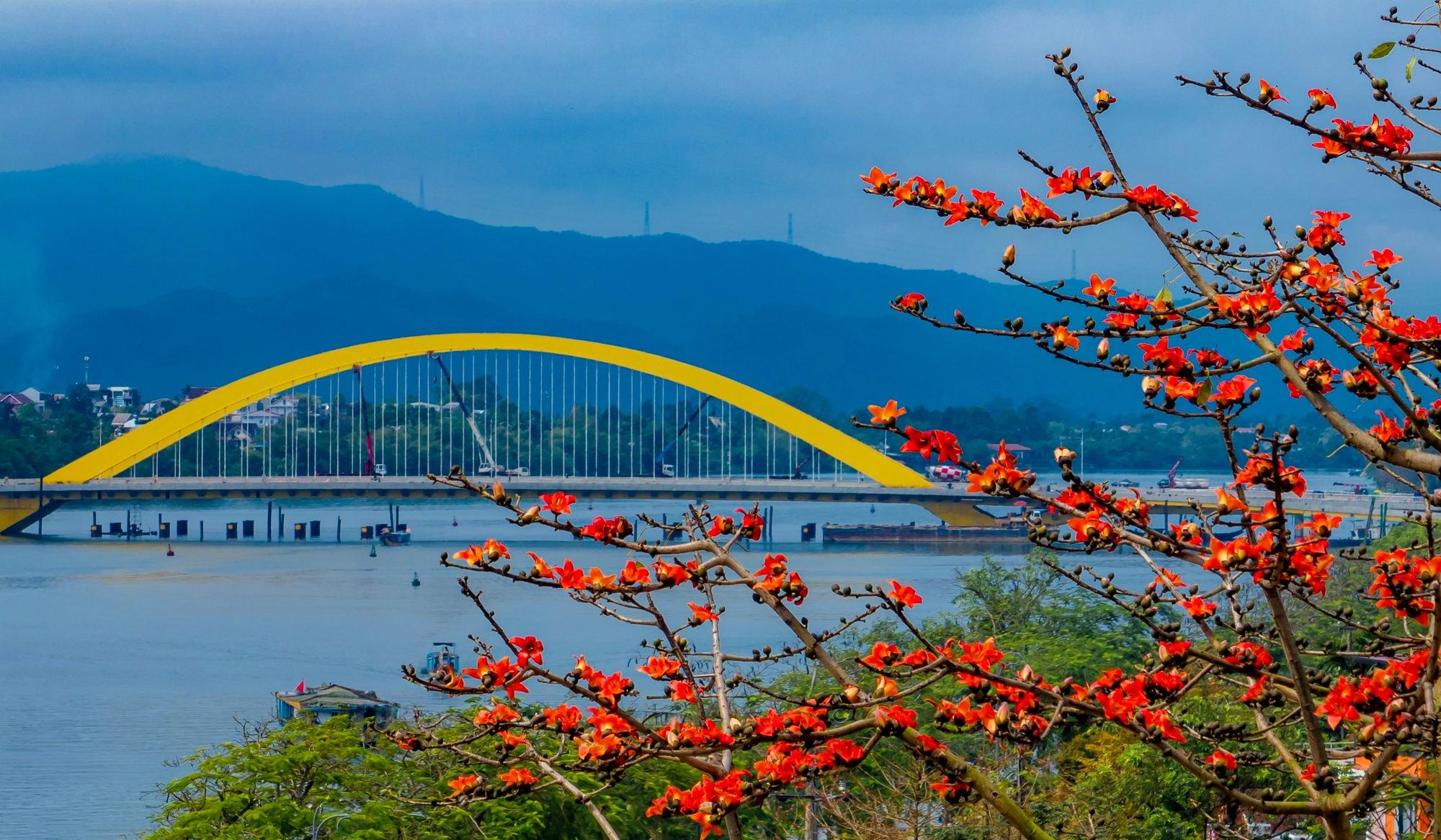 Tips for Enjoying Street Food in Hue Like a Local