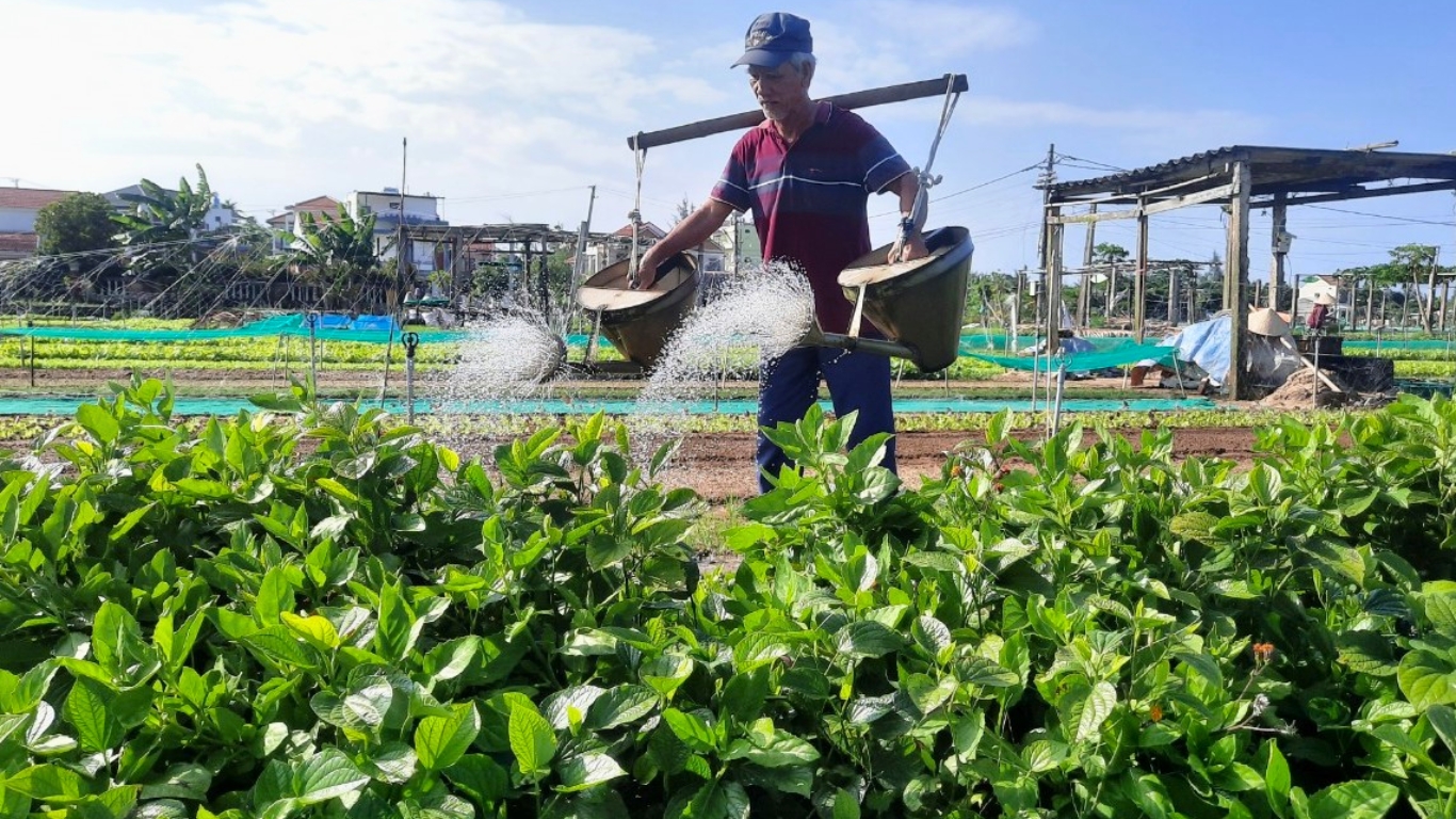 Tra Que Vegetable Village